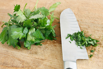 Image showing Parsley