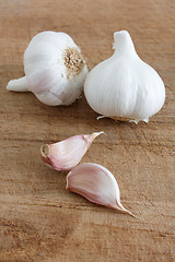 Image showing Garlic