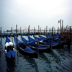 Image showing VENICE IN NOVEMBER