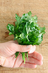 Image showing Parsley