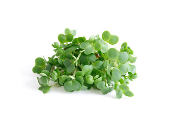 Image showing Water cress