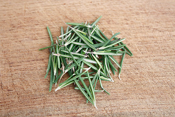 Image showing Rosemary