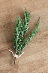 Image showing Rosemary