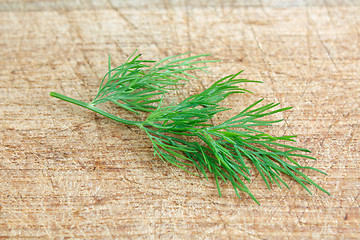 Image showing Dill