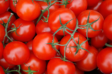 Image showing Tomatoes