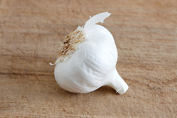 Image showing Garlic