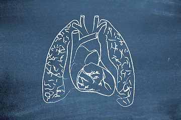 Image showing Lungs drawn on blackboard