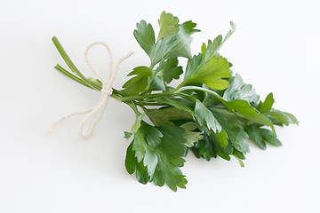 Image showing Parsley