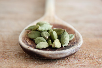 Image showing Cardamom