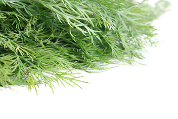 Image showing Dill