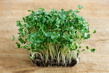 Image showing Watercress