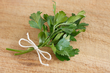 Image showing Parsley