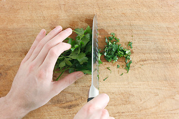 Image showing Parsley