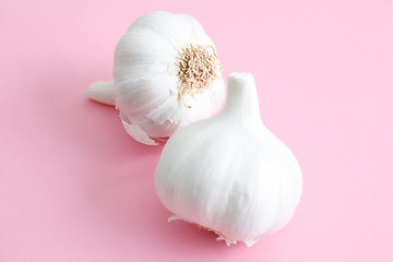 Image showing Garlic