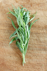 Image showing Tarragon