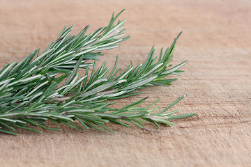 Image showing Rosemary