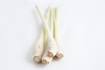 Image showing Lemon grass