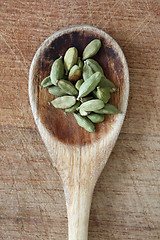 Image showing Cardamom