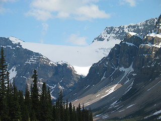 Image showing Banff Icefield