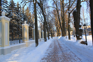 Image showing Avenue. A winter landscape