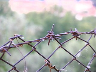 Image showing barbed wire