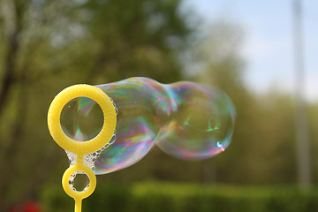 Image showing Soap bubbles