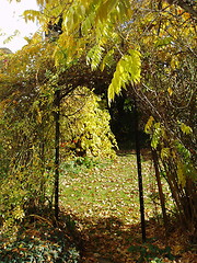 Image showing autumn arch 1