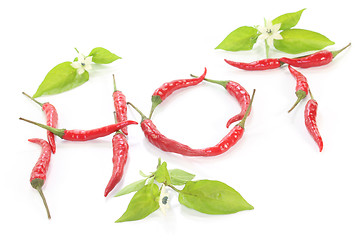 Image showing Chilis