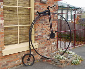 Image showing penny-farthing bicycle