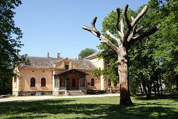 Image showing house and tree
