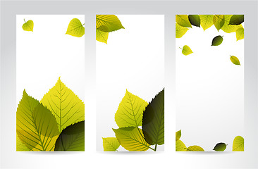 Image showing Fresh natural vertical banners with leafs