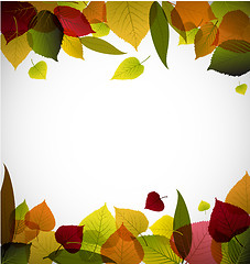 Image showing Autumn leafs abstract background