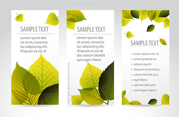 Image showing Fresh natural vertical banners with leafs