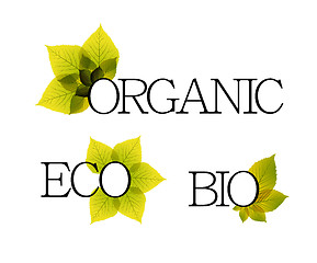 Image showing Bio, organic and eco labels with floral elements