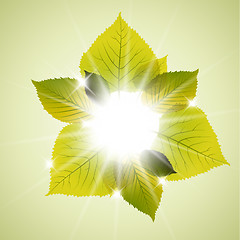 Image showing Spring sunny leafs abstract background