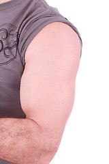 Image showing The male arm isolated on white background. 