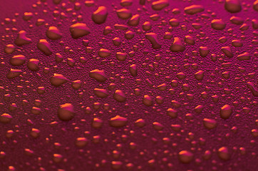 Image showing Pink water drops