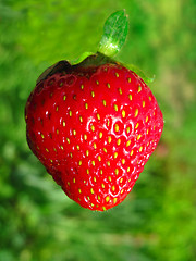 Image showing strawberry 