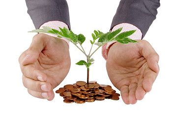 Image showing Businessman protecting plant