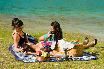 Image showing Picnic