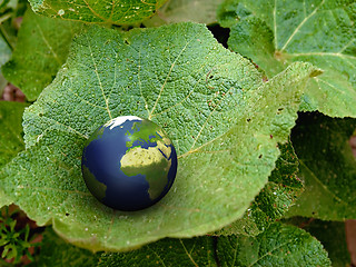 Image showing 3d Blue earth on a green leaf