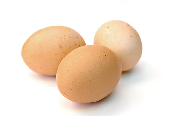 Image showing eggs on a white background