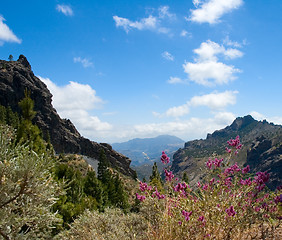 Image showing Mountains