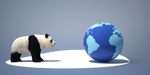 Image showing panda and the earth