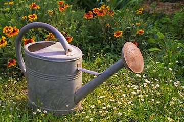 Image showing water can in a garden