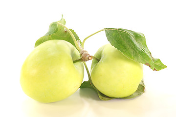 Image showing Apples with leaves