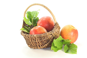 Image showing Apples with leaves