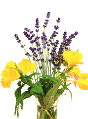 Image showing Primrose and lavender