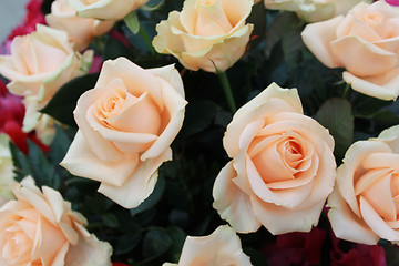 Image showing Bouquet of beige roses