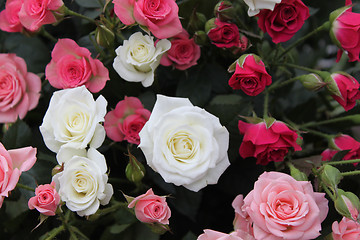 Image showing Bouquet of roses